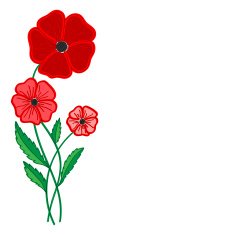 red poppies on a white background N2
