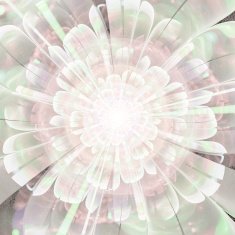 fractal flower N26