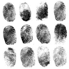 Set of fingerprints illustration