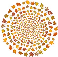 Set of autumn leaves flying in circle