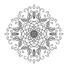 Isolated Abstract Floral pattern on white background N13