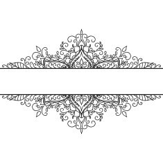 Isolated Abstract Floral pattern on white background N44