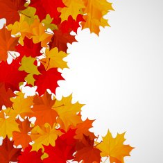 Abstract background with autumn colorful leaves