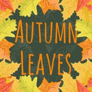 Bright colorful autumn leaves frame on dark background