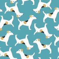 Jack Russell Terrier N4