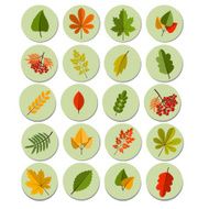Set of colorful autumn leaves Autumn icon set Fall leaves
