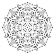 Floral abstract ornament vector illustration N26