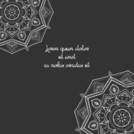 Floral abstract ornament vector illustration N27