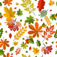Seamless pattern with colorful autumn leaves Vector illustration