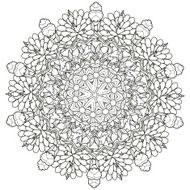 exquisite mandala pattern design N4