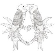 adorable parrots N2