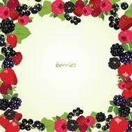 frame with berries
