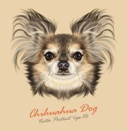 Vector Illustrative Portrait of Chihuahua dog N2