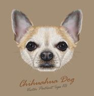 Vector Illustrative Portrait of Chihuahua dog N4