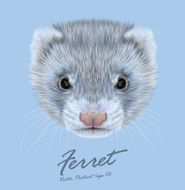Vector Illustrative portrait of Ferret