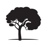Black Tree N5