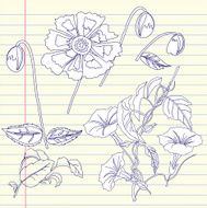 Notebook with bindweed and flowers