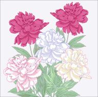 Bouquet with white and pink peonies