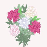 Bouquet with two pink and white peonies