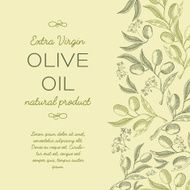 Olive oil Hand drawing background Green vintage style