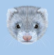Illustrative portrait of Ferret