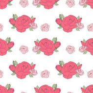 Pink rose on the white background N3