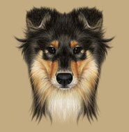 Illustrative Portrait of Collie Dog