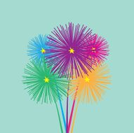 Fireworks N13
