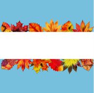 Leaves N42