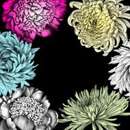 Frame Flowers Pencil Drawind