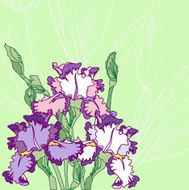 Background with blue pink irises
