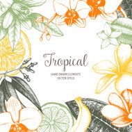Tropical vector design N2