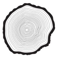 Tree rings background Annual tree