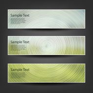 Set of Colorful Bright Horizontal Headers and Banners N4