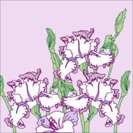 Background with three irises