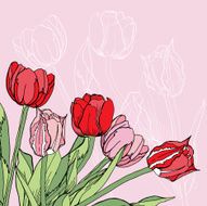 Background with red and pink tulips