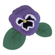 Violet flower vector illustration