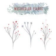 Set of watercolor flowers