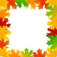 Frame from the leaves