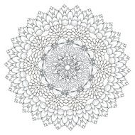 exquisite mandala pattern design N8