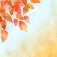 Fall leaves background N2