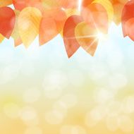 Fall leaves background N3
