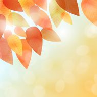 Fall leaves background N4