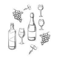 Bottles of wine glasses and grape sketches