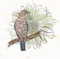 bird and flower N4