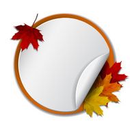 Round banner with autumn leaves N2