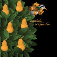 Partridge in a pear tree