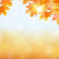 Fall leaves background N5