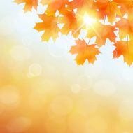 Fall leaves background N6