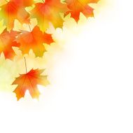 Fall leaves background N7